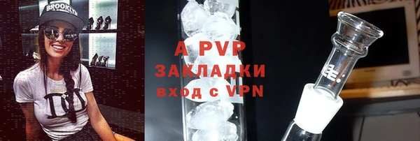 стаф Дмитровск
