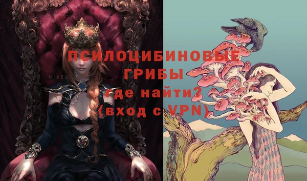 PSILOCYBIN Алзамай