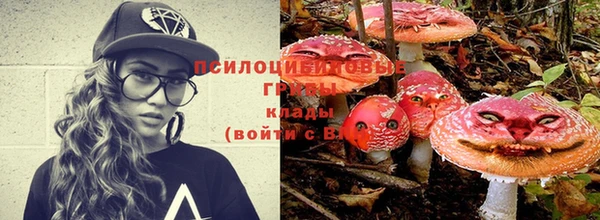 каннабис Алексин