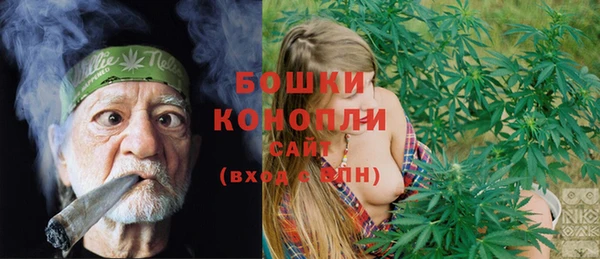 PSILOCYBIN Алзамай