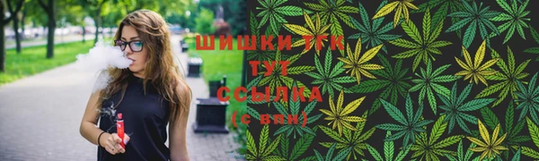 PSILOCYBIN Алзамай