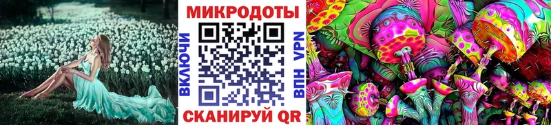 купить наркотик  Бахчисарай  Галлюциногенные грибы Psilocybe 